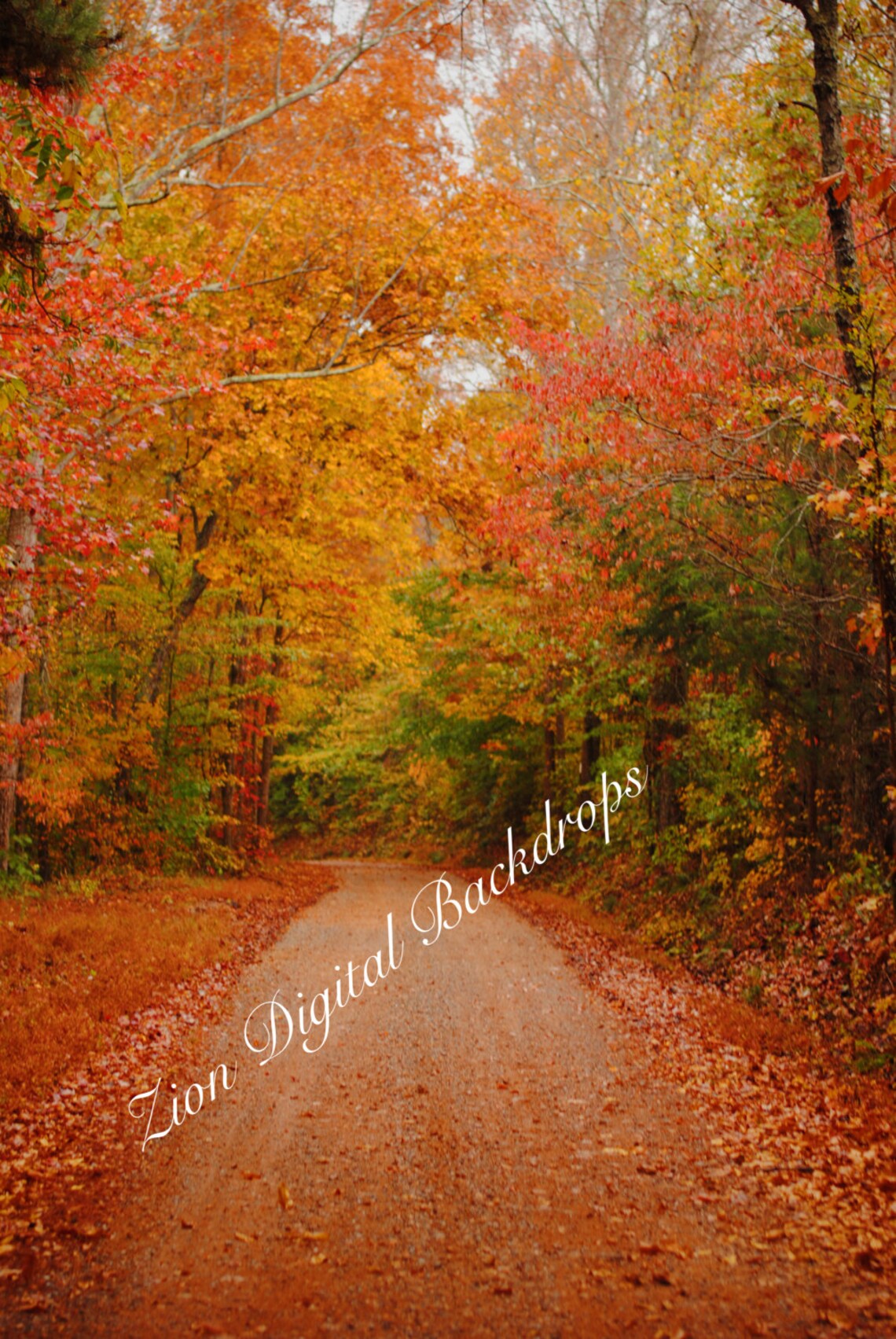 Fall Foliage Digital Backdrop - Etsy