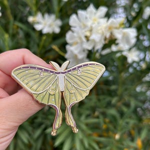 Épingle en émail Luna Moth 3" de large - Épingle de sorcière céleste avec étoiles - Bijouterie insecte de bizarrerie et de curiosité - Vert translucide
