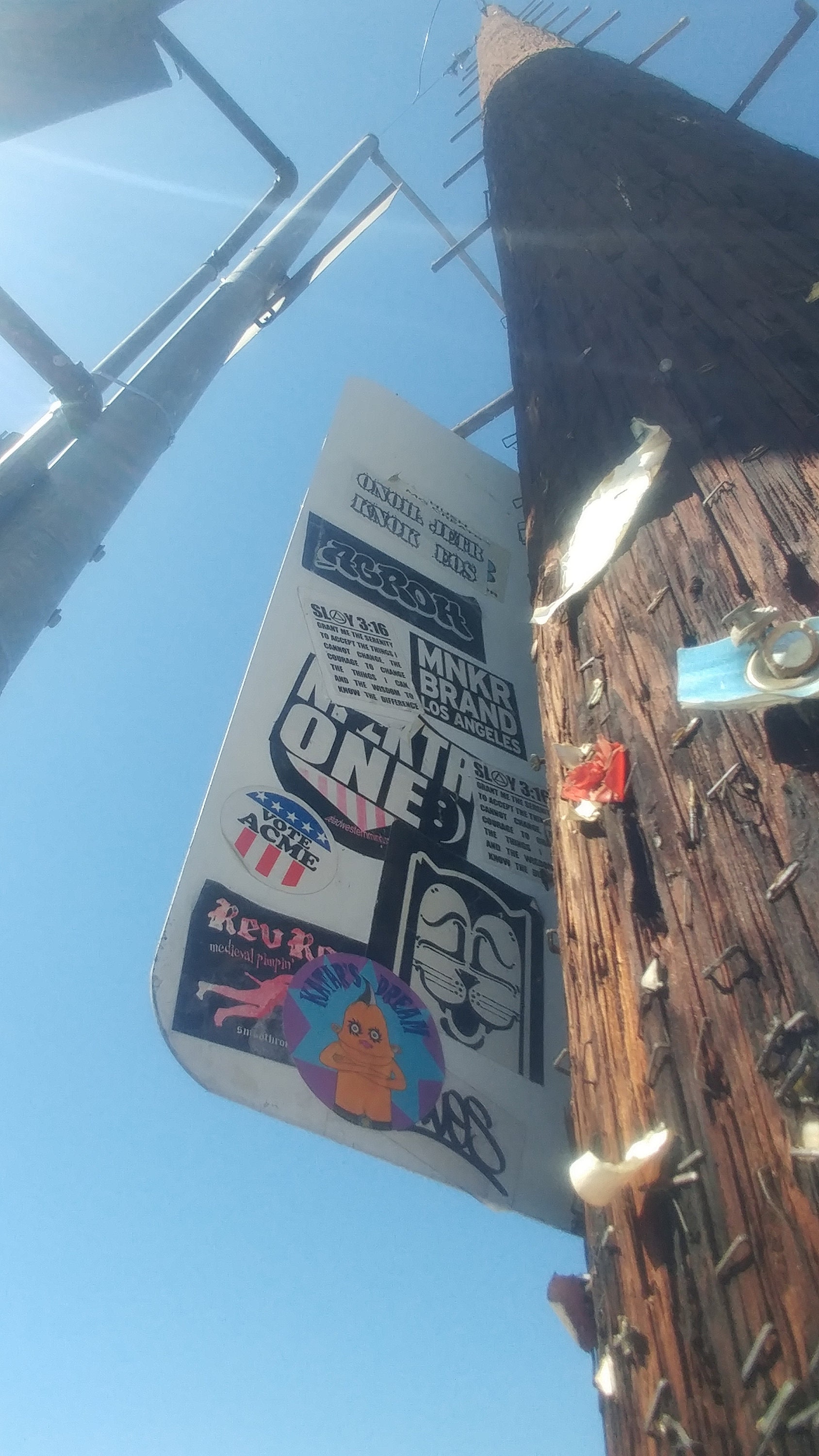 Katar's Dream Vinyl Sticker 2 Etsy