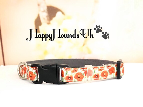 teacup dog collar