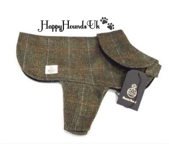 large dog christmas dress