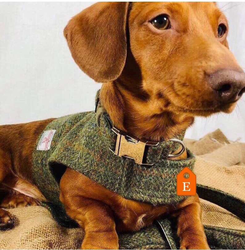 Dachshund Winter Warm Dog Coat / Jacket Genuine Harris Tweed Etsy