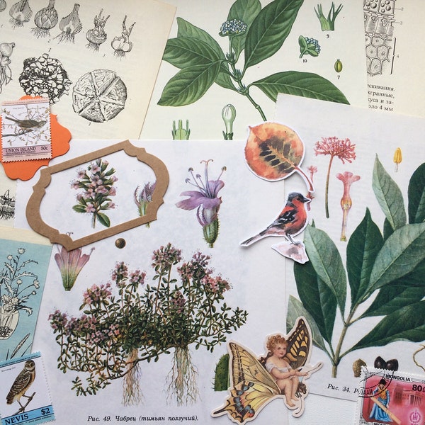 Pretty Pages, junk journal kit, nature journal kit, botanical ephemera pack, floral cut outs