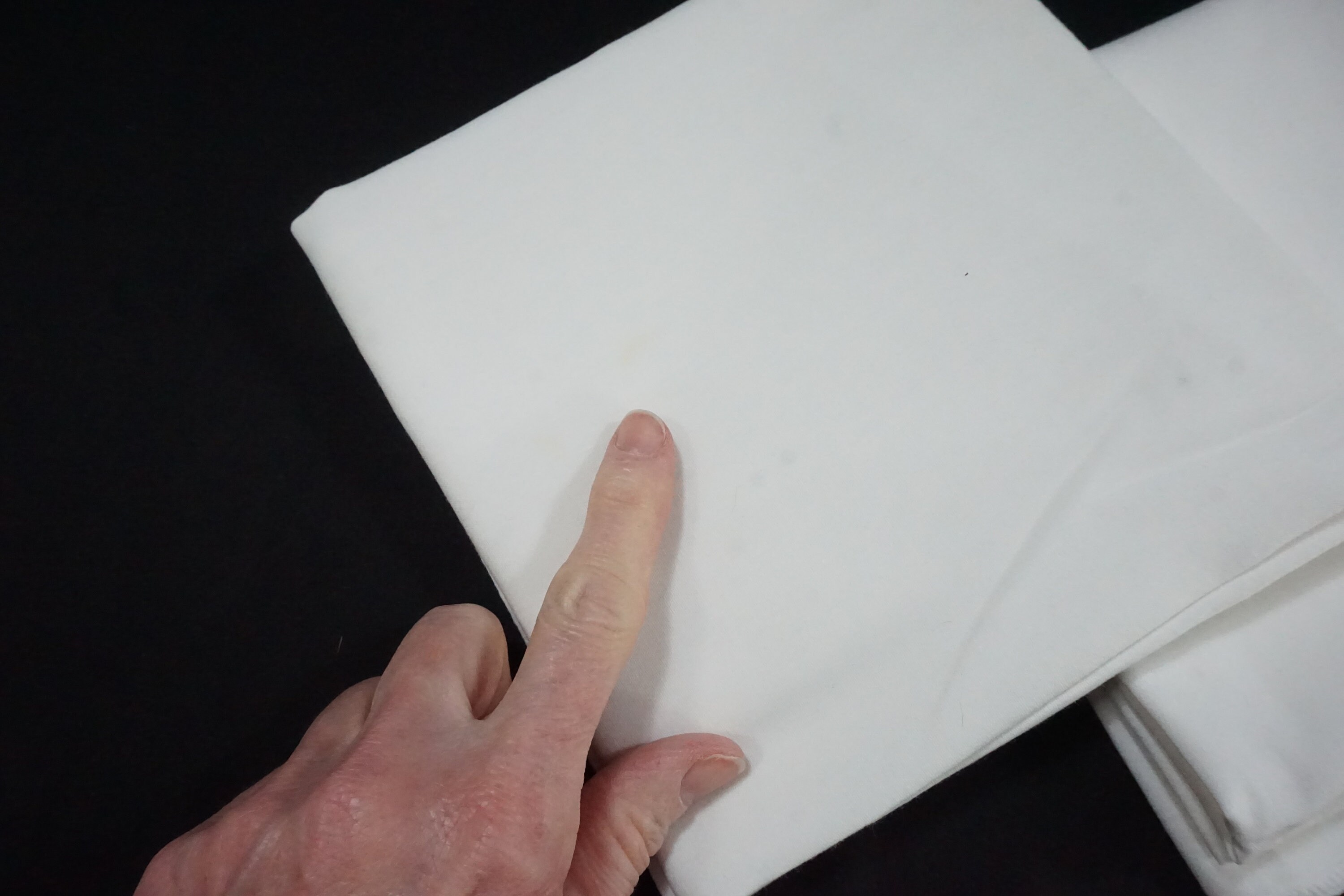 Vintage Bed Linens 2 Standard Pillowcases Embroidered Blue Etsy