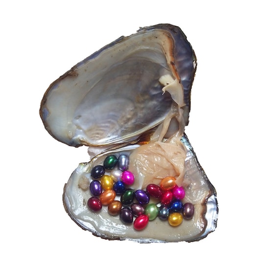 Ordering pearl hotsell oysters