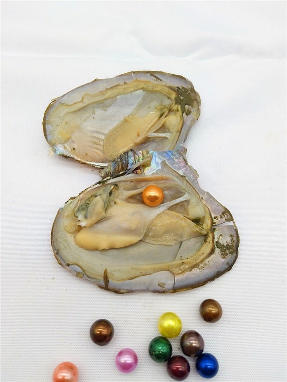 Biggest oyster sale pearl ever found