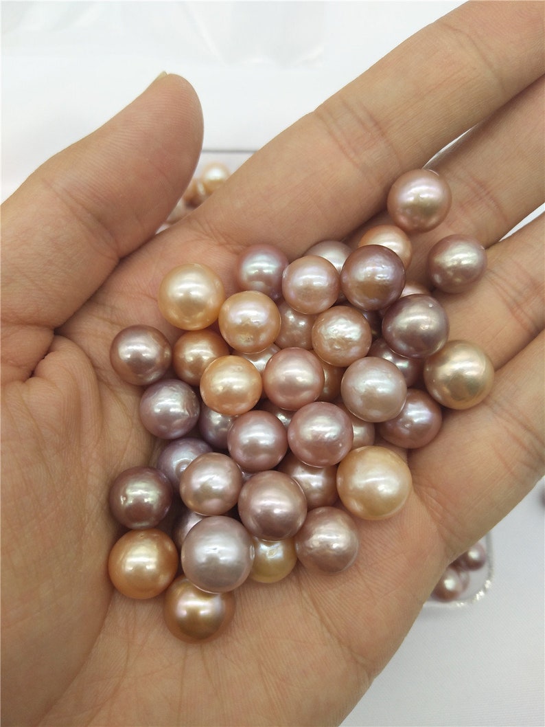 1PC Edison Pearl Oyster Pearl in Oyster Akoya Freshwater Pearl Etsy