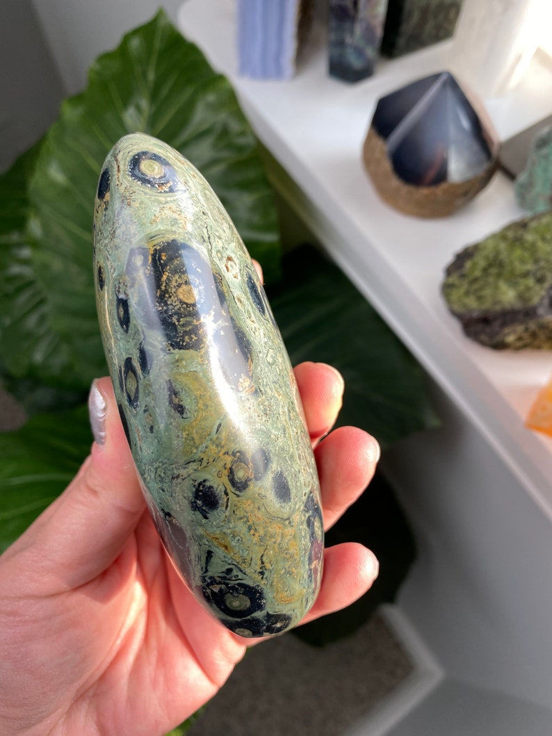 crocodile jasper properties crocodile jasper properties