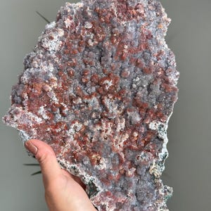 Op de afbeelding: Een groot, plat mineraalexemplaar met een cluster van kleine kristallijne formaties. Het oppervlak vertoont een mix van dieproodbruine en bleke lavendelgrijze tinten, met een getextureerd, hobbelig uiterlijk over de gehele onregelmatige vorm.