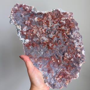 Op de afbeelding: Een groot, plat mineraalexemplaar met een textuurrijk oppervlak bedekt met clusters van kleine, kristallijne formaties. Het stuk vertoont een gevlekt kleurenpalet van diep roodbruin en gedempt lavendelgrijs, met een ruwe, onregelmatige rand.