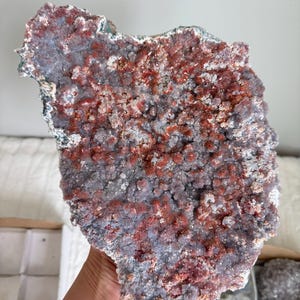 Op de afbeelding: Een groot, plat mineraalexemplaar met een textuurrijk oppervlak bedekt met clusters van kleine, kristallijne formaties. Het stuk vertoont een mix van dieproodbruine en gedempte paarsgrijze tinten, met een ruwe, onregelmatige buitenrand.