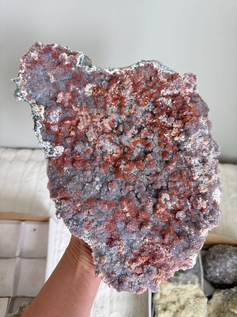 Op de afbeelding: Een groot, plat mineraalexemplaar met een textuurrijk oppervlak bedekt met clusters van kleine, kristallijne formaties. Het stuk vertoont een mix van dieproodbruine en gedempte paarsgrijze tinten, met een ruwe, onregelmatige buitenrand.