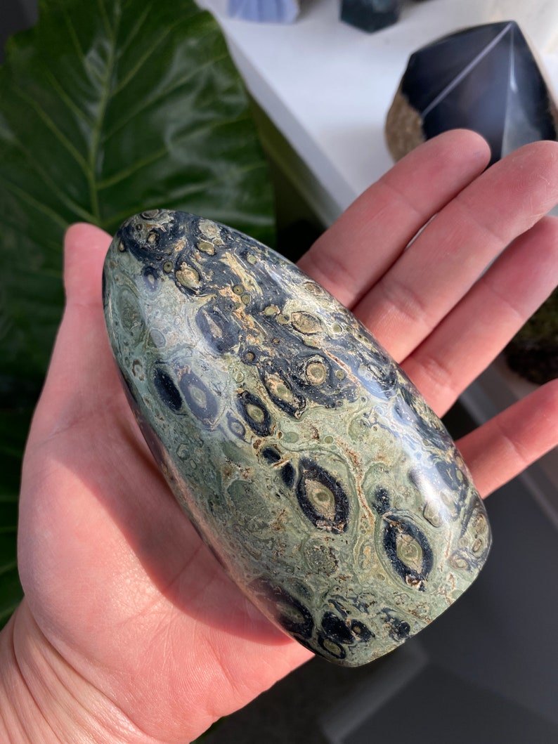 crocodile jasper properties crocodile jasper properties