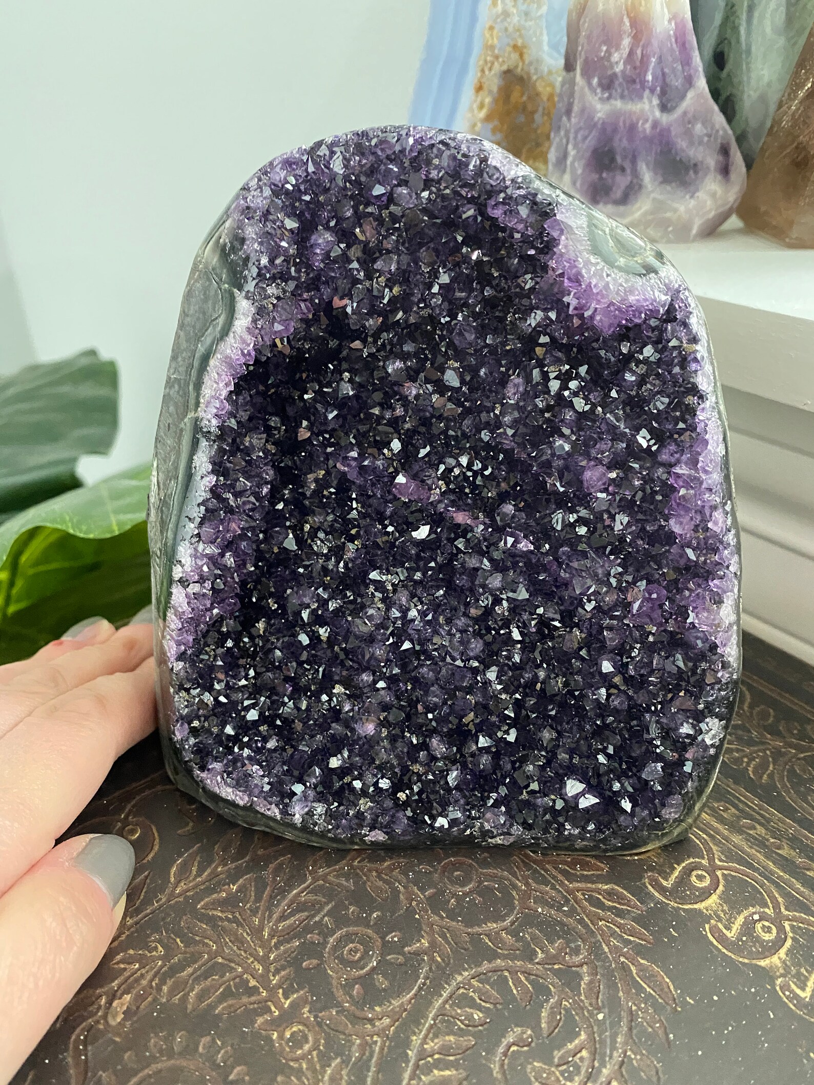 Grape Jelly Amethyst Geode Dark Amethyst Crystal Cluster | Etsy