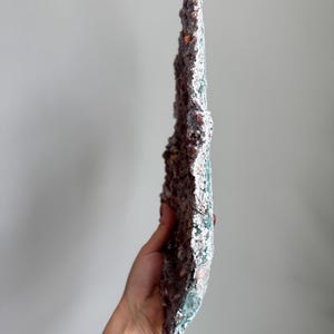 Op de afbeelding: Een lang, dun, verticaal mineraalexemplaar met een ruwe, kristallijne textuur. Het oppervlak vertoont een mix van diepe roodbruine en aardse tinten, met vlekken van levendige blauwgroene mineraalafzettingen langs de buitenste, grillige randen.
