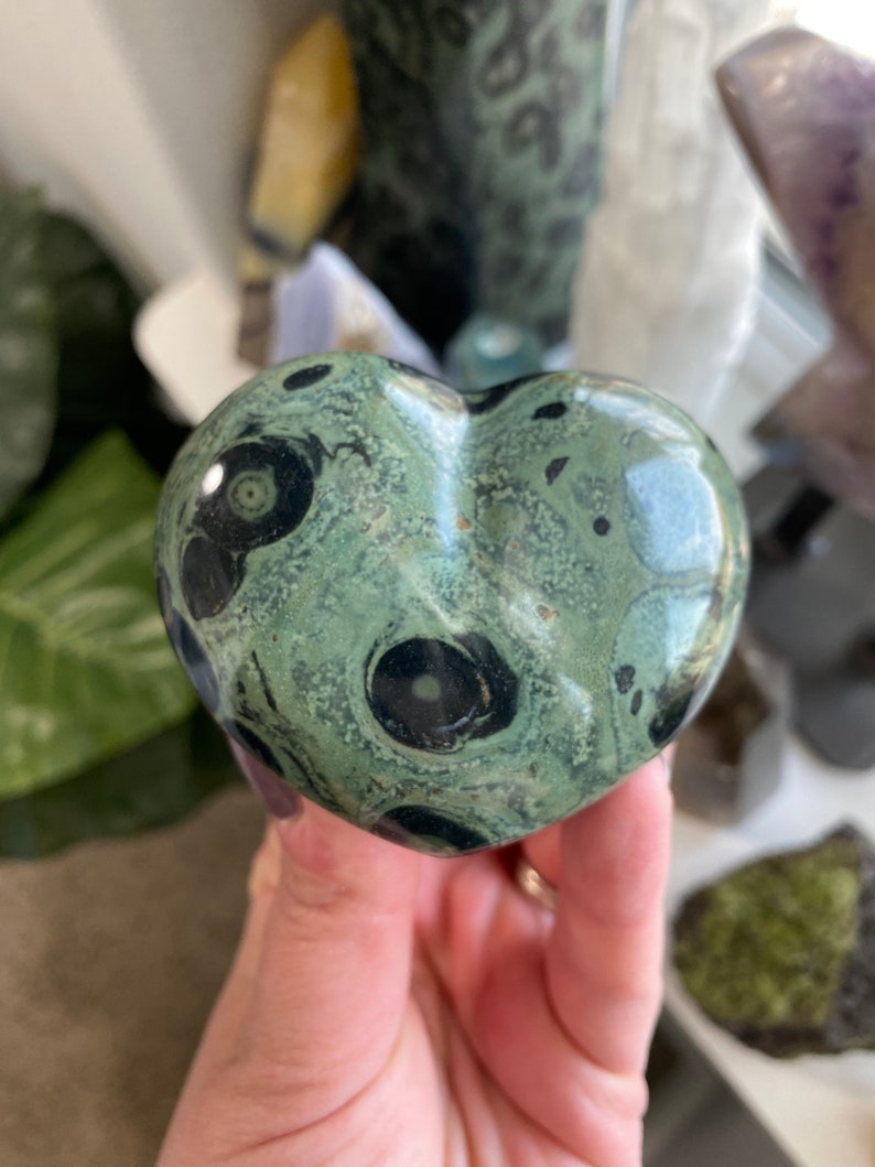 crocodile jasper crystal meaning crocodile jasper crystal meaning