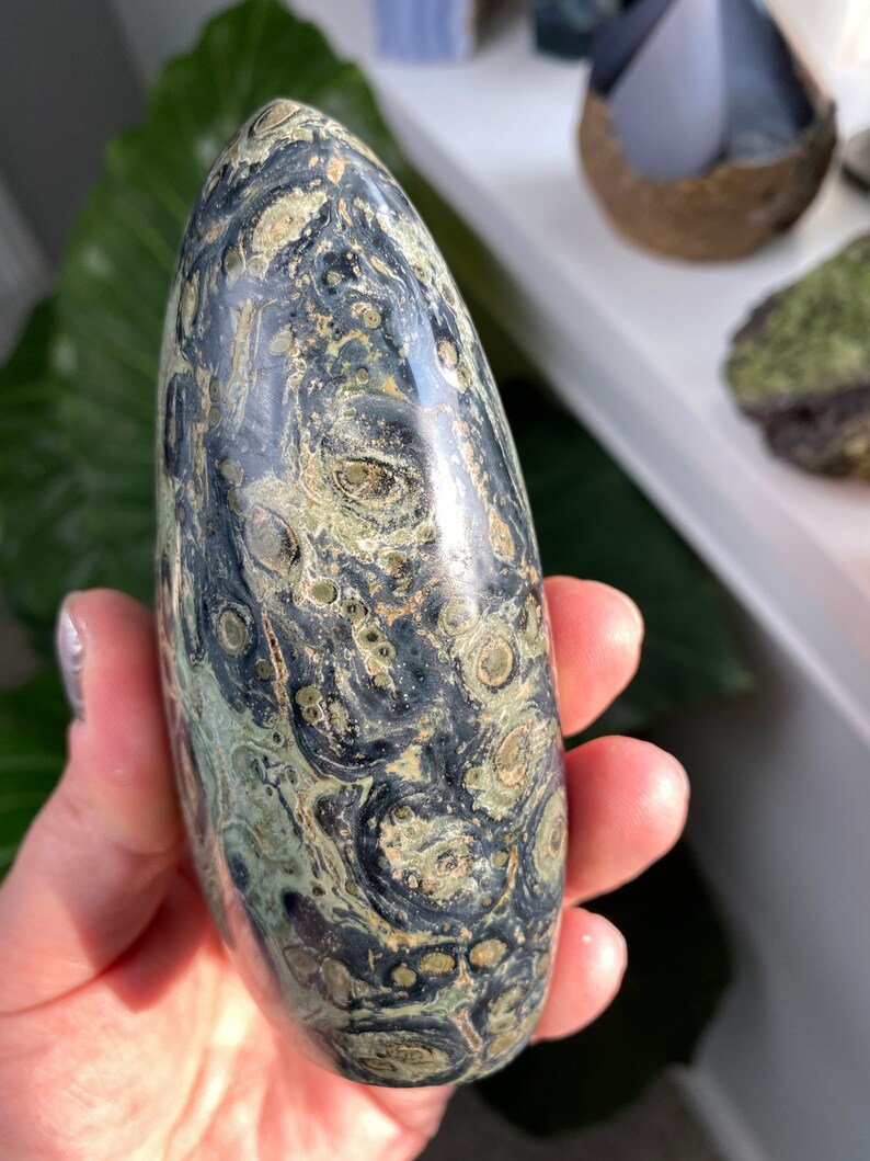crocodile jasper crystal meaning crocodile jasper crystal meaning