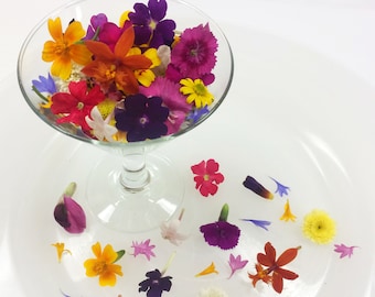 Edible Micro flowers Premium Micro Flowers Blend™