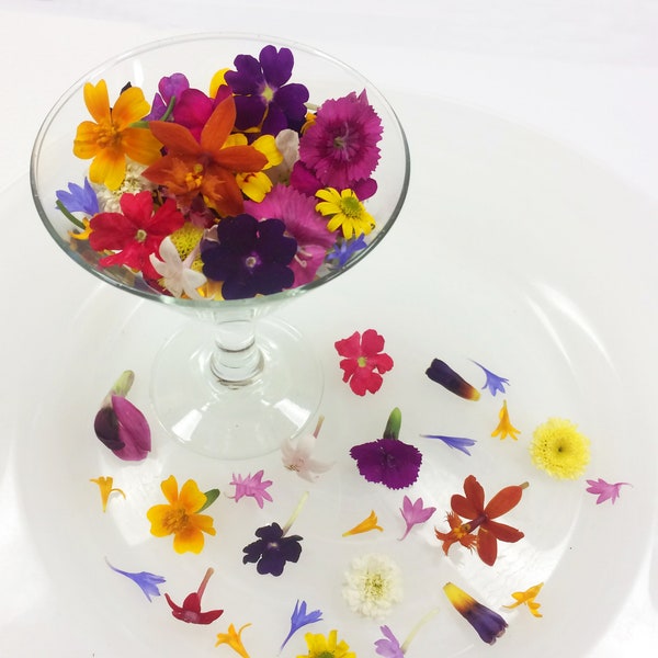 Fresh Edible Flowers Micro Flowers™ Blend 200 Ct