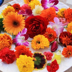 Fresh Edible Flowers Premium Assortment Mix image 1