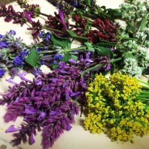 Fresh Edible Flowers Herb Flowers Mix 50 Ct image 1