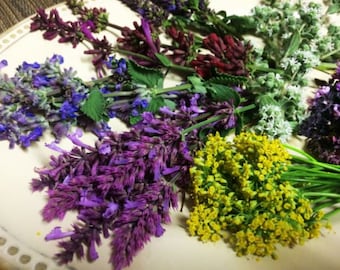 Fresh Edible Herb Flowers Mix 50 Ct