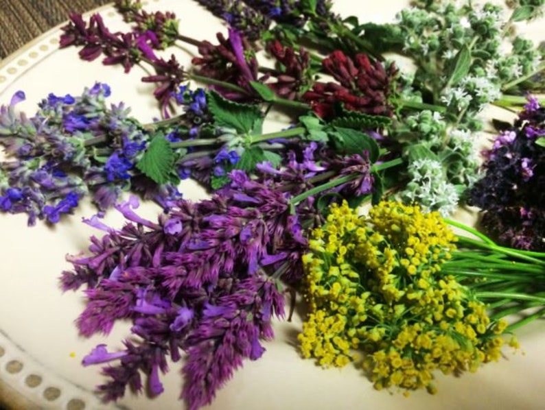 Fresh Edible Flowers Herb Flowers Mix 50 Ct image 1