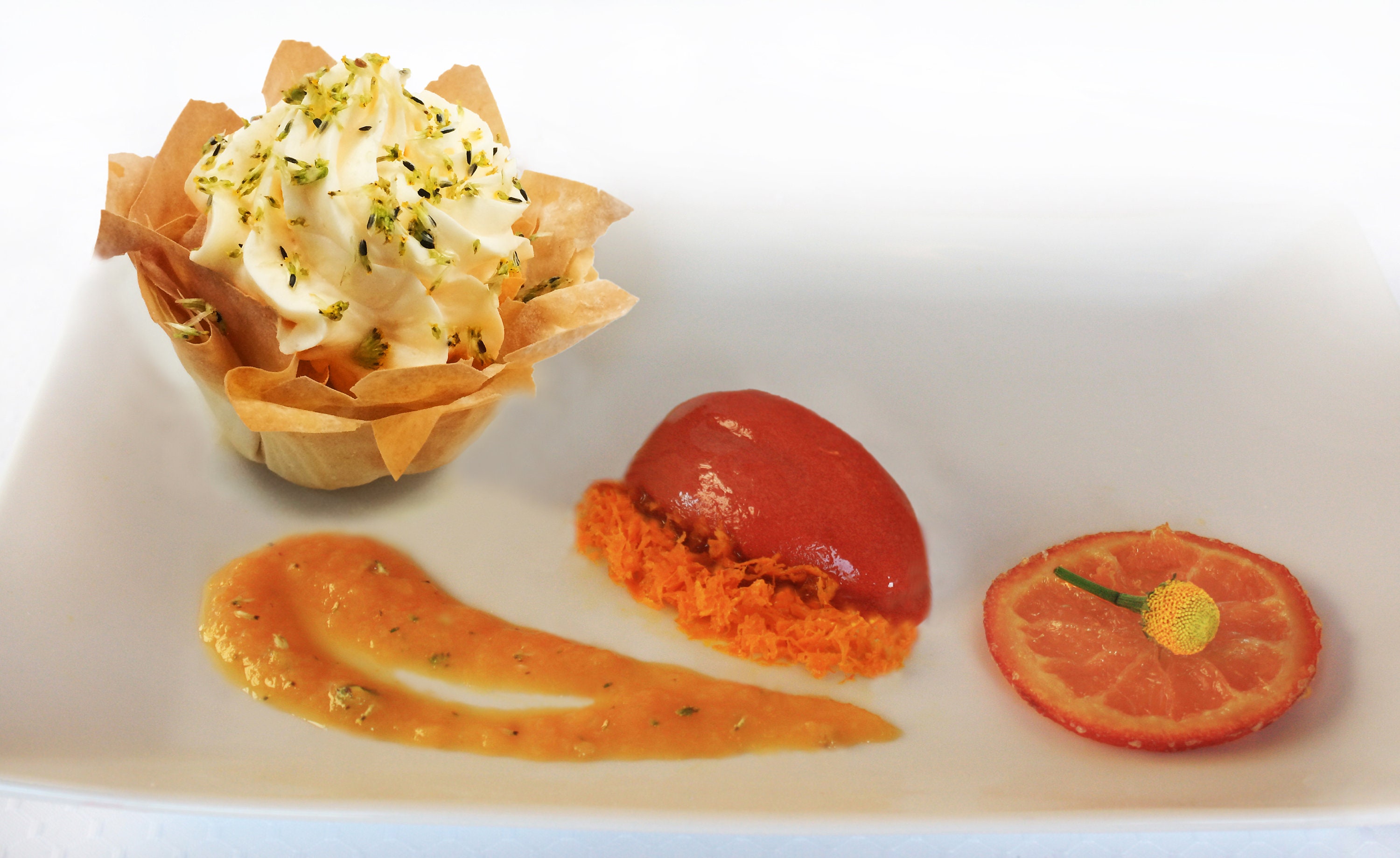 Edible Flowers Buzz Button™ 50 Ct Etsy