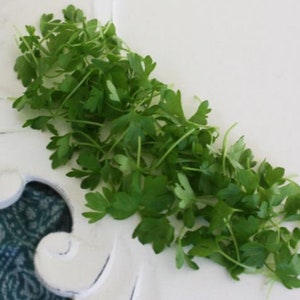 Fresh Micro Celery 4oz