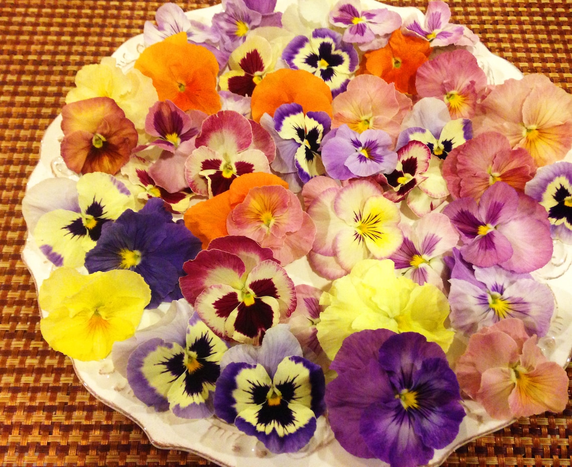 Edible Flowers Pansy Mix Etsy