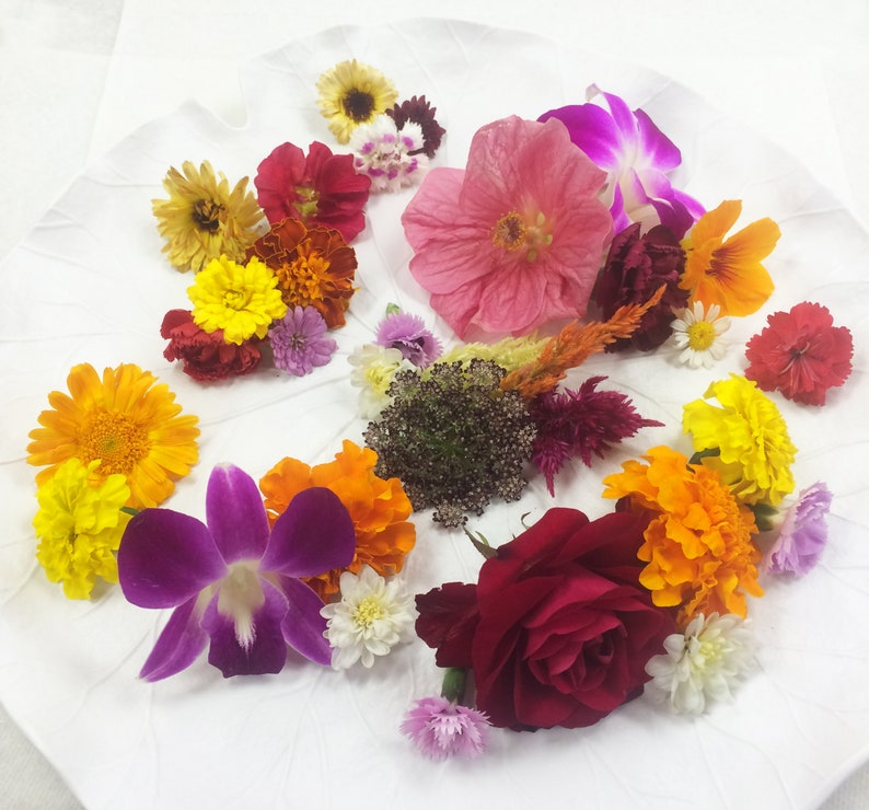 Fresh Edible Flowers Premium Assortment Mix image 3