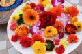 Fresh Edible Flowers Premium Assortment Mix