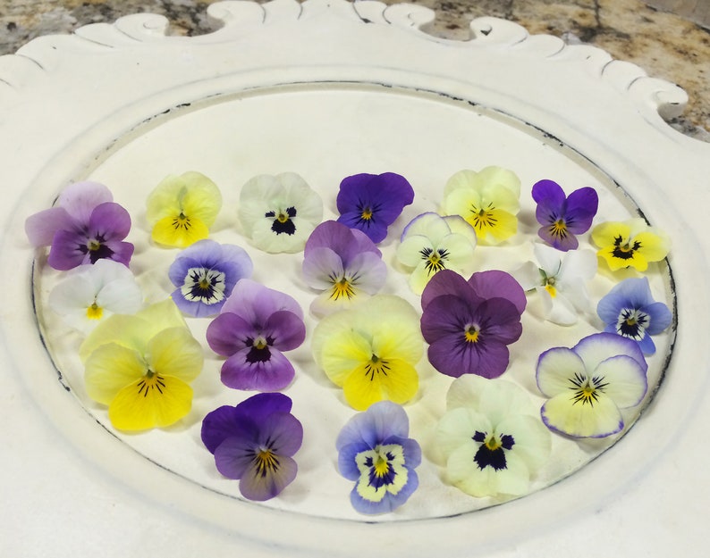 Fresh Edible Flowers Viola 50 Ct image 3