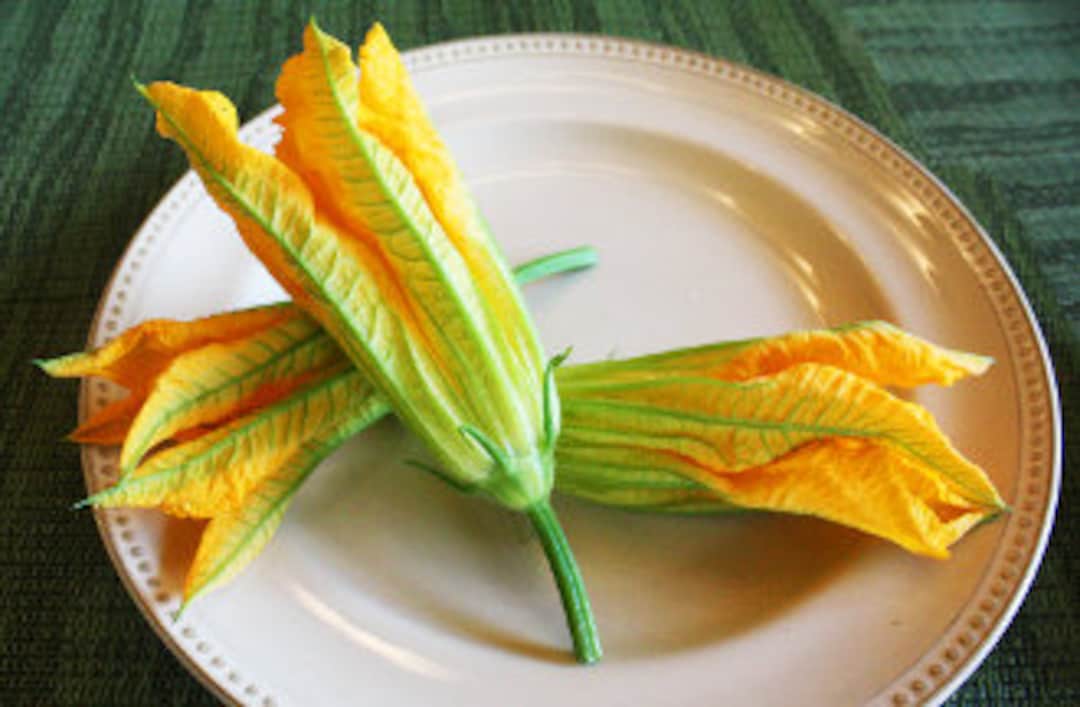 Fresh Edible Flowers Squash Blossom 25 Ct - Etsy