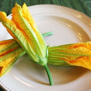 Fresh Edible Flowers Squash Blossom 25 Ct