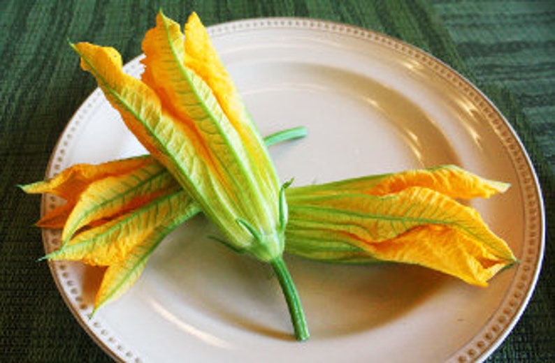 Edible Flower Squash Blossom 25 Ct Etsy