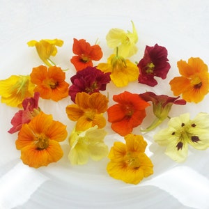 Fresh Edible Flowers Nasturtium Flower 50 Ct