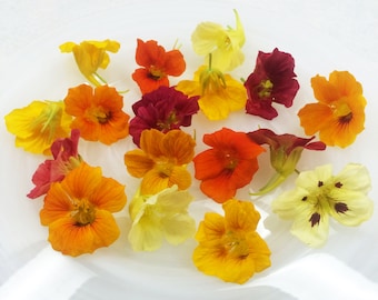 Fresh Edible Flowers Nasturtium Flower 50 Ct
