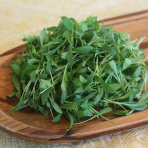 Fresh Micro Cilantro 4oz