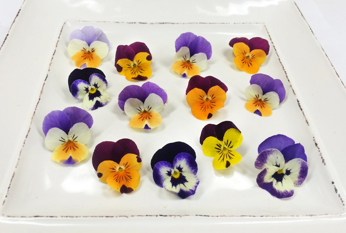 Edible Flowers Viola 50 Ct Etsy