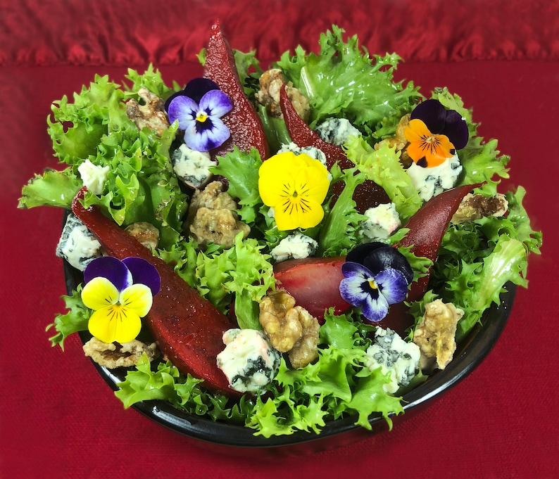 Edible Flowers Viola 50 Ct Etsy UK