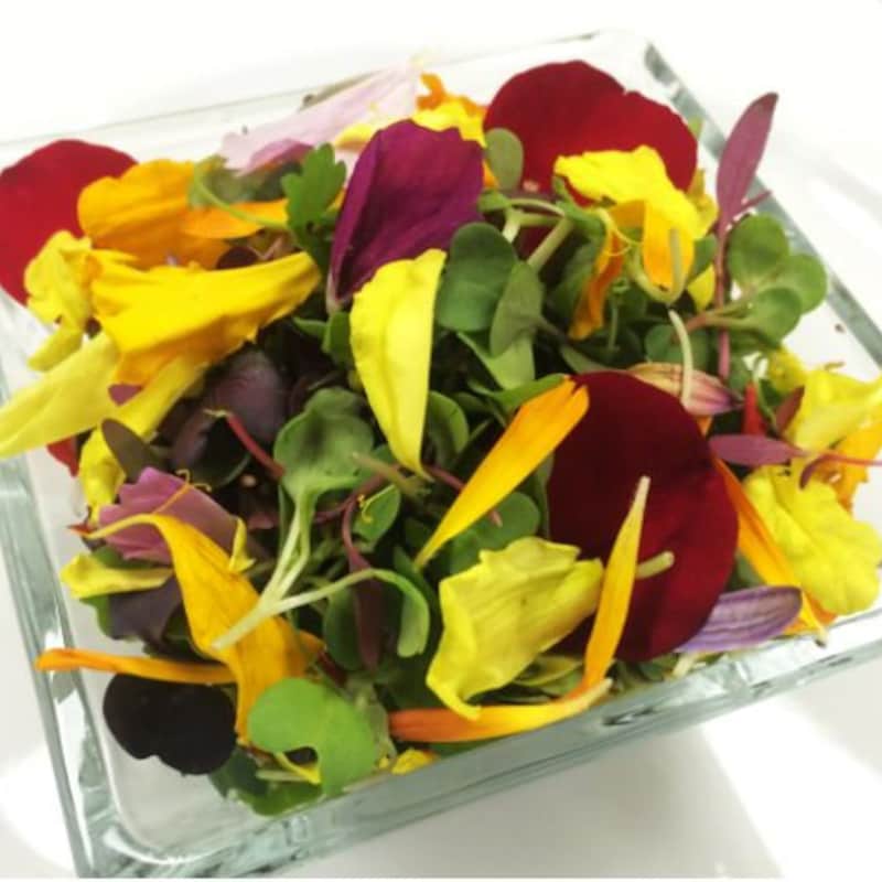 GourmetSwtBotanicals - Etsy