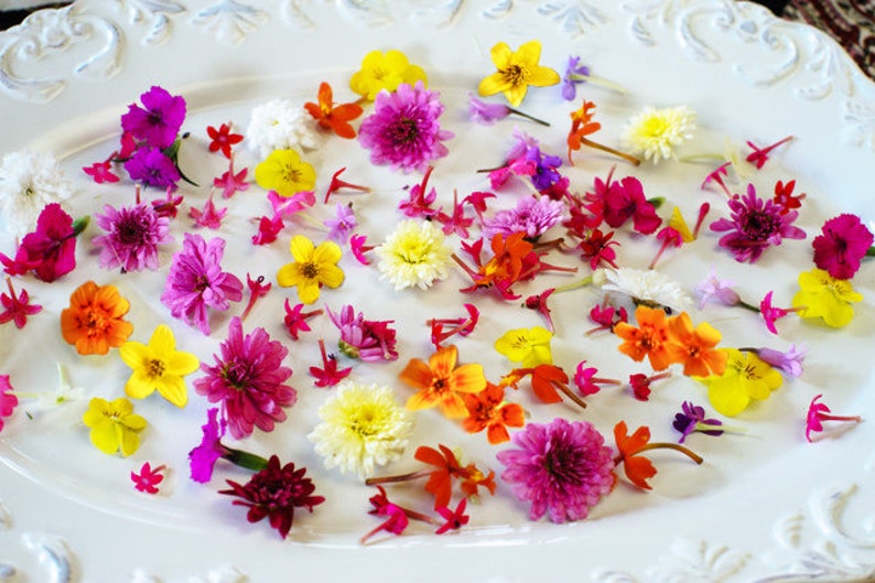 Fresh MicroFlowers™ Micro Flowers Blend™ image 2