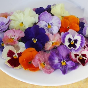 Fresh Edible Flowers Pansy 50 Ct