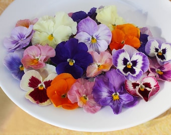 Fresh Edible Flowers Pansy 50 Ct