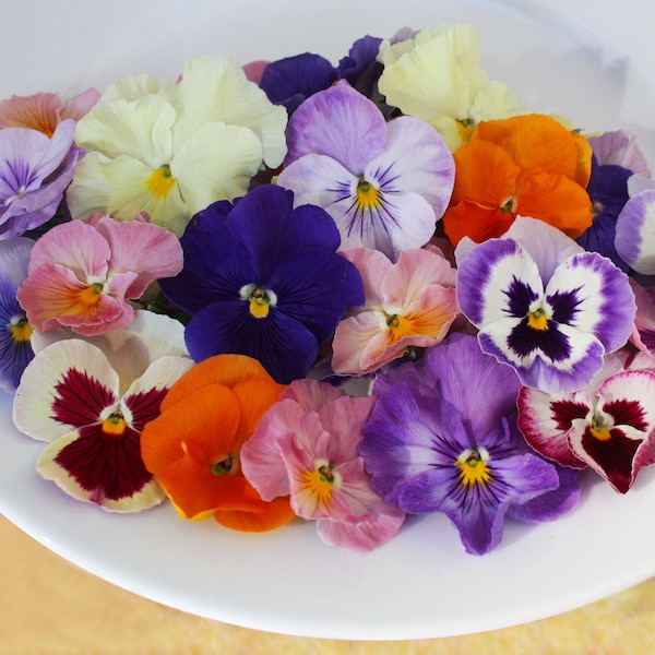 Fresh Edible Flowers Pansy 50 Ct