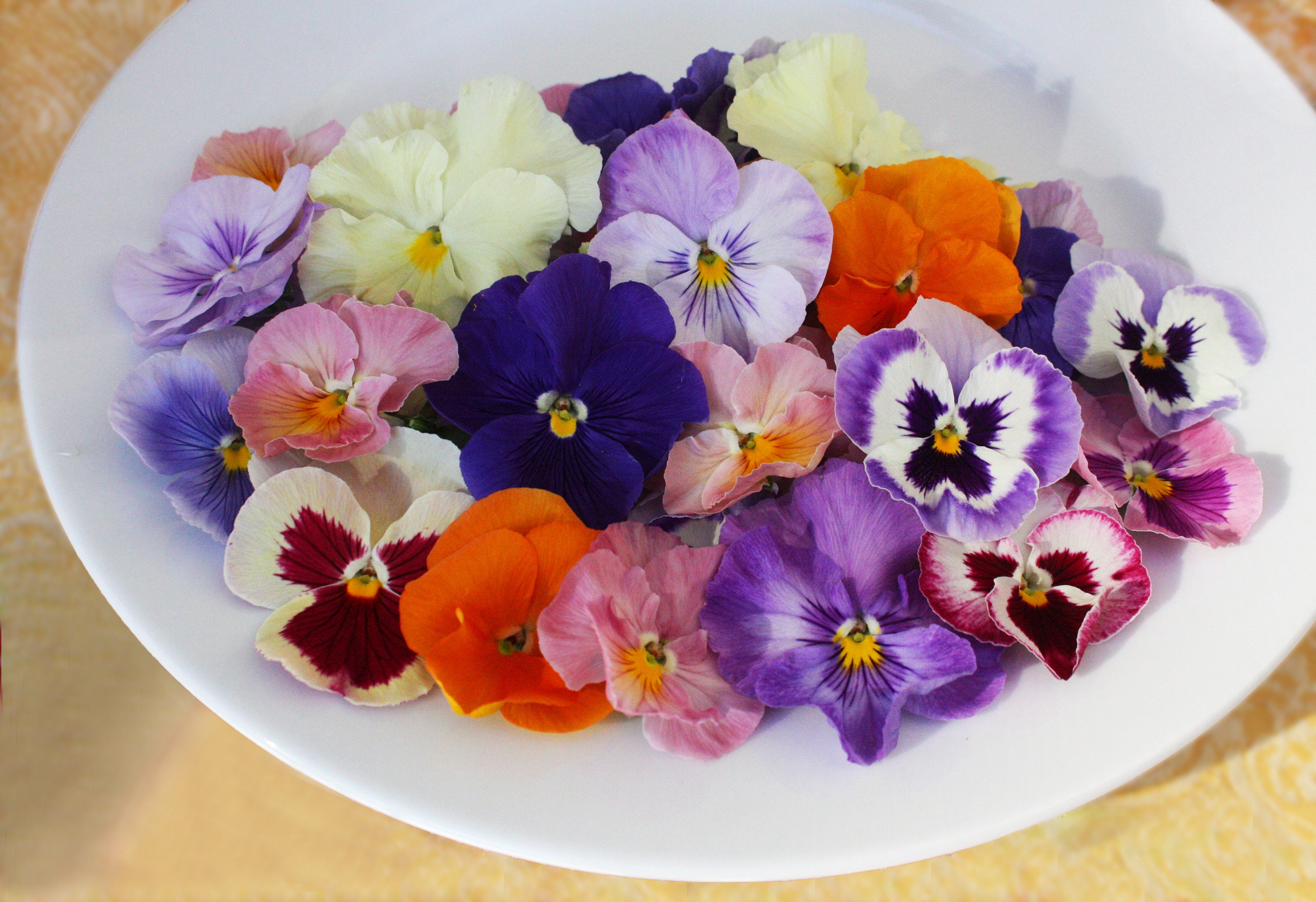 Pressed and Dried Edible Pansy Flowers Organic Grown Sustainably