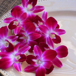 Fresh Decorative Flowers Orchid 50 Ct