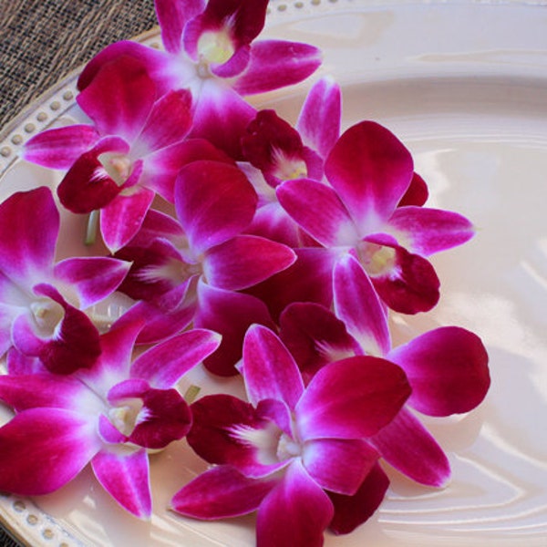 Fresh Decorative Flowers Decorative Orchid 50 Ct