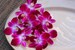 Decorative Flower Orchid 50 Ct 